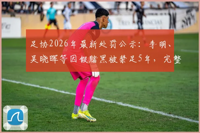足协2026年最新处罚公示：李明、吴晓晖等因假赌黑被禁足5年，完整名单及案件详情解读