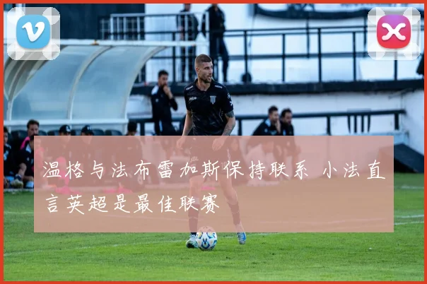 温格与法布雷加斯保持联系 小法直言英超是最佳联赛
